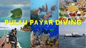 Pulau Payar Diving